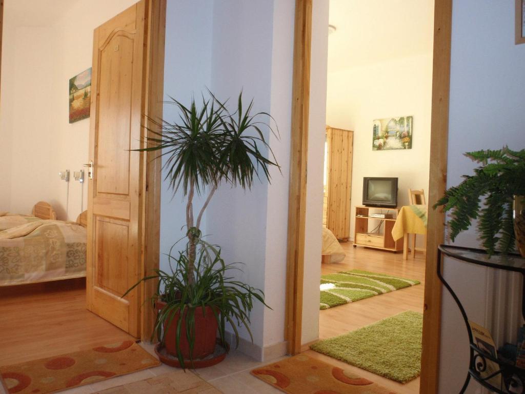 Centrum Apartmanhaz פץ' חדר תמונה
